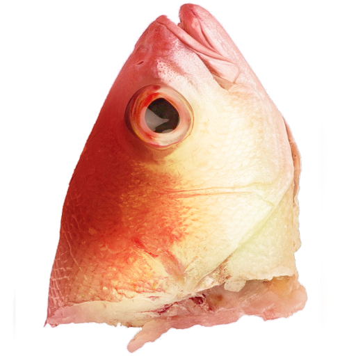 A fish head. The fish head is red and ran and pink and pretty and the fish is dead but its eyes retain light, the kind of light only associated with those ensouled and full of vigor.